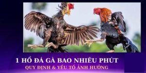 1 ho da ga bao nhieu phut 1
