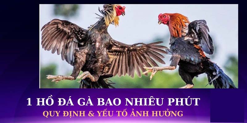 1 ho da ga bao nhieu phut 1