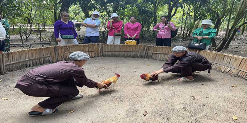 Những yếu tổ tác động đến trận đấu 1 hồ đá gà bao nhiêu phút 